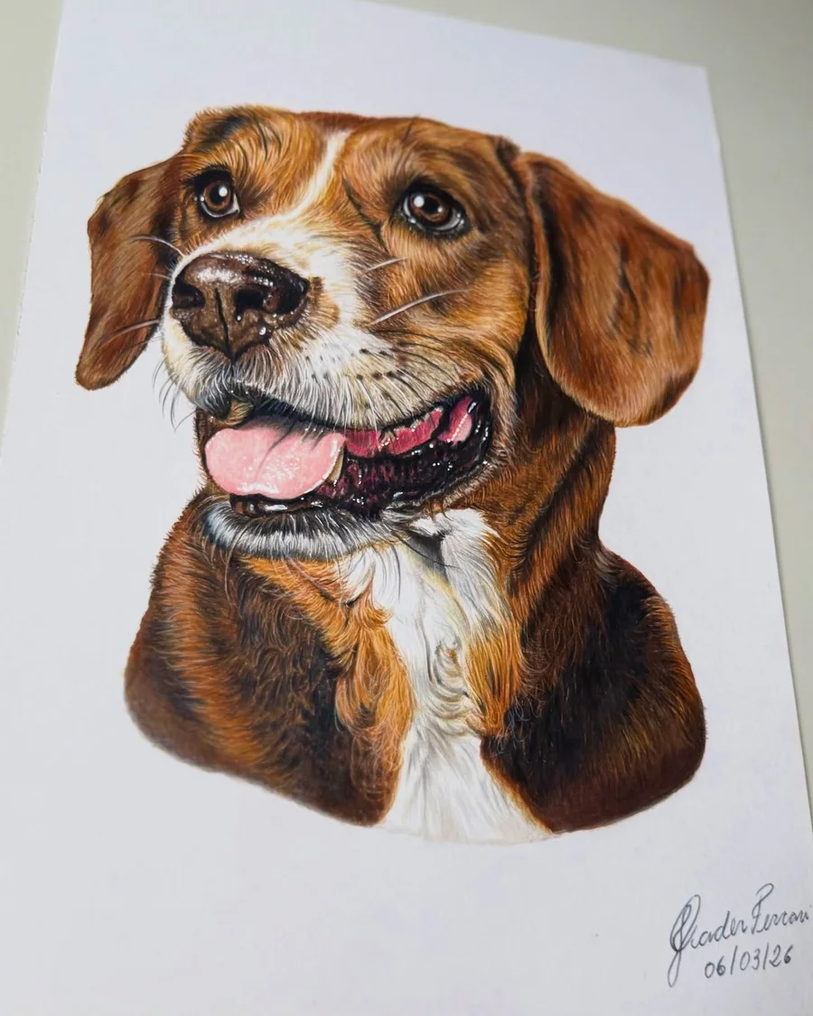 Retrato de cachorro em lápis de cor, desenvolvido sob encomenda